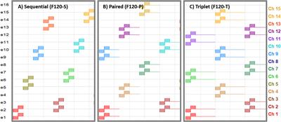 A computational model to simulate spectral modulation and speech perception experiments of cochlear implant users